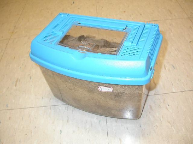 «ö¦¹¦b·sµøµ¡ÂsÄý¹Ï¤ù