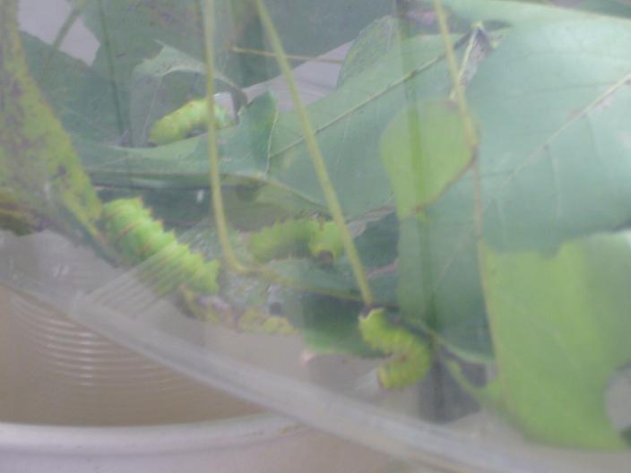 «ö¦¹¦b·sµøµ¡ÂsÄý¹Ï¤ù