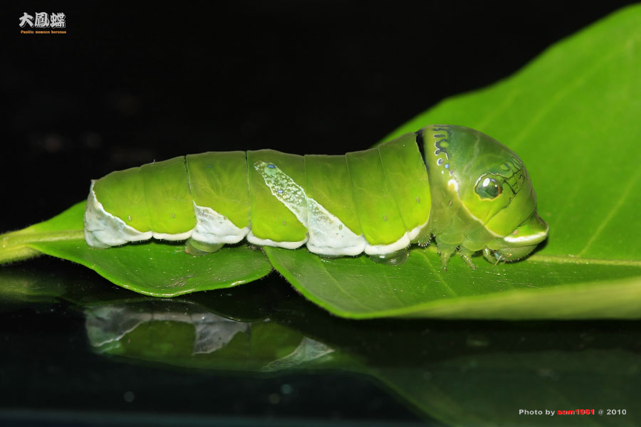 按此在新視窗瀏覽圖片