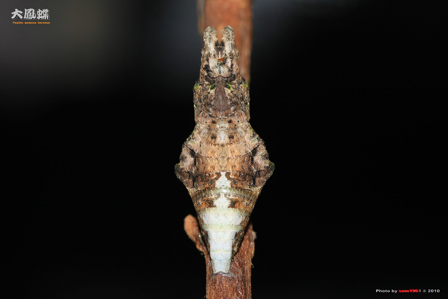 按此在新視窗瀏覽圖片