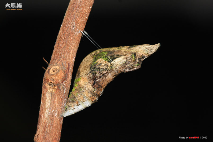 按此在新視窗瀏覽圖片