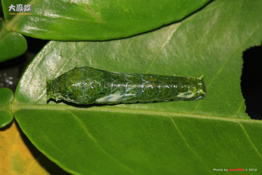 «ö¦¹¦b·sµøµ¡ÂsÄý¹Ï¤ù