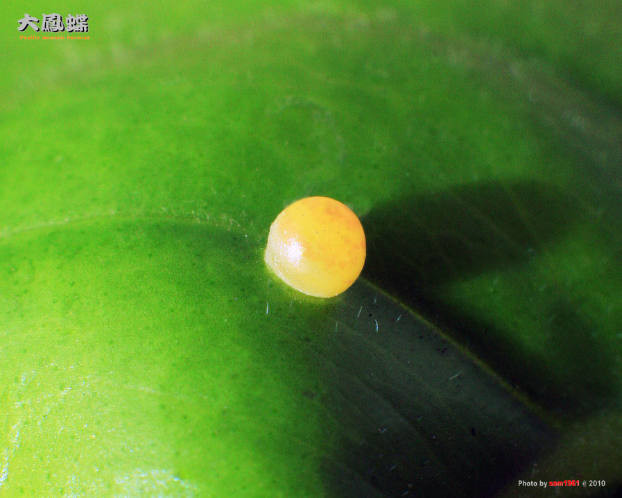 «ö¦¹¦b·sµøµ¡ÂsÄý¹Ï¤ù