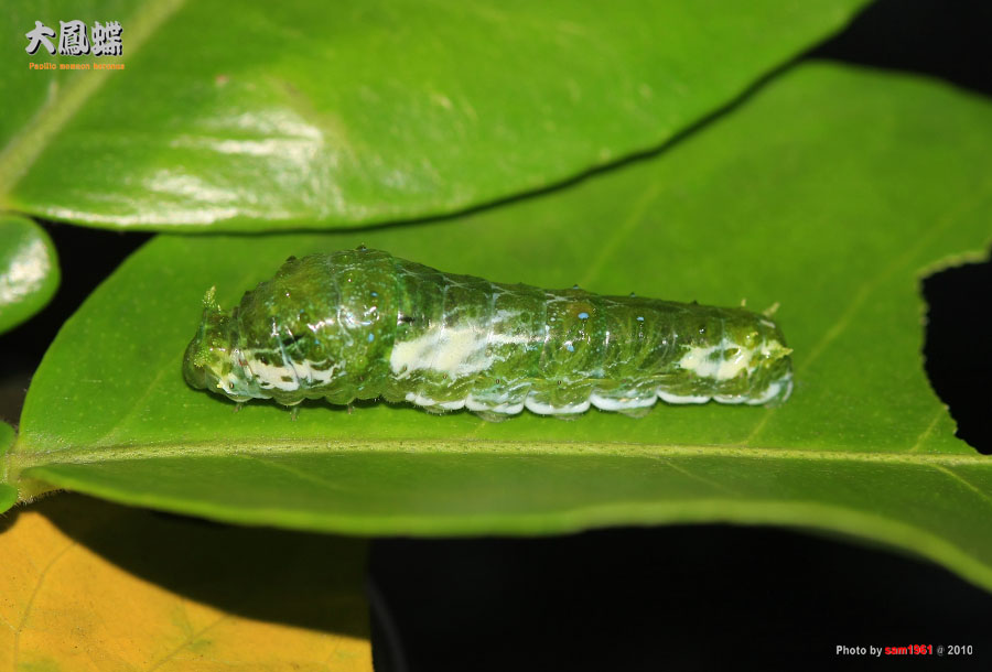 «ö¦¹¦b·sµøµ¡ÂsÄý¹Ï¤ù