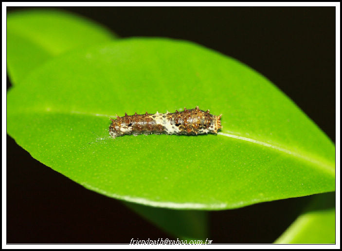 «ö¦¹¦b·sµøµ¡ÂsÄý¹Ï¤ù