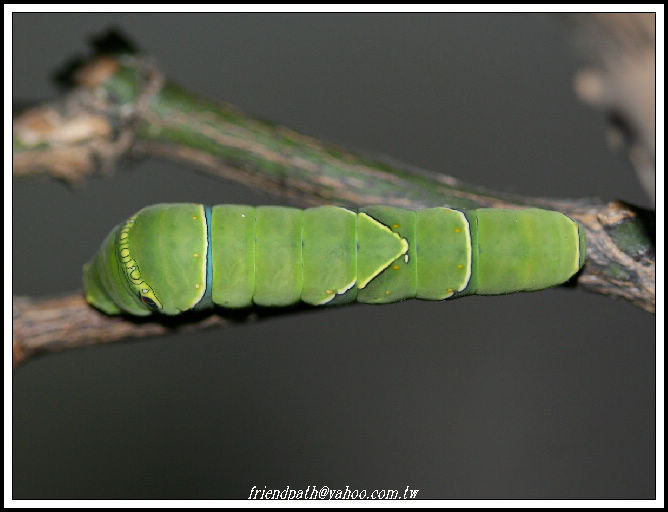 «ö¦¹¦b·sµøµ¡ÂsÄý¹Ï¤ù