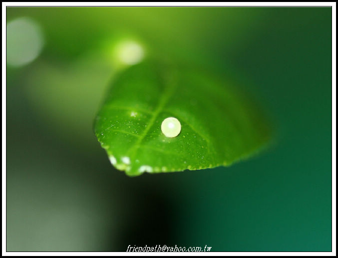 «ö¦¹¦b·sµøµ¡ÂsÄý¹Ï¤ù