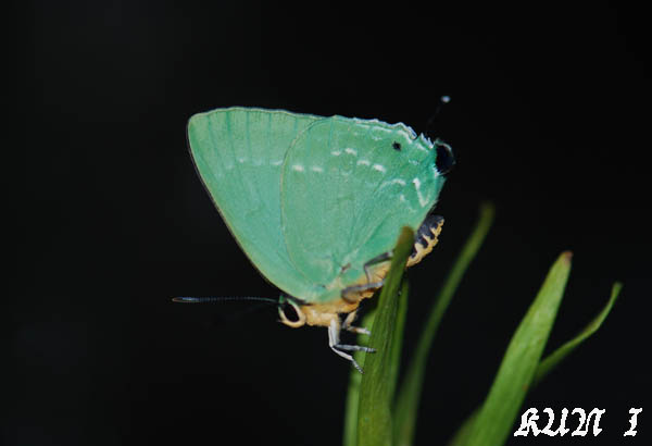 «ö¦¹¦b·sµøµ¡ÂsÄý¹Ï¤ù