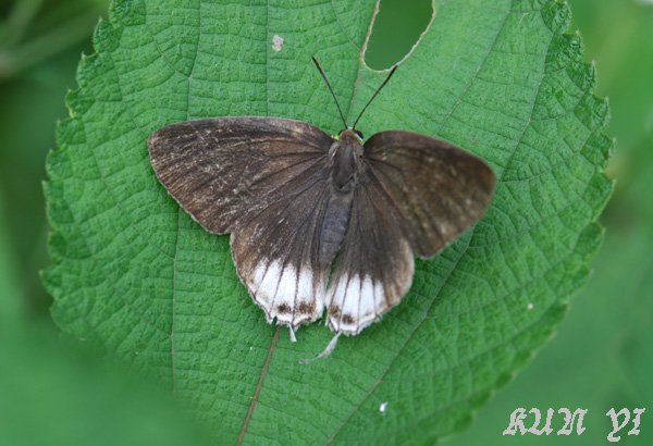 «ö¦¹¦b·sµøµ¡ÂsÄý¹Ï¤ù