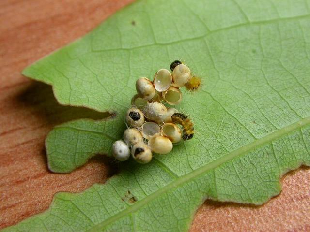 «ö¦¹¦b·sµøµ¡ÂsÄý¹Ï¤ù