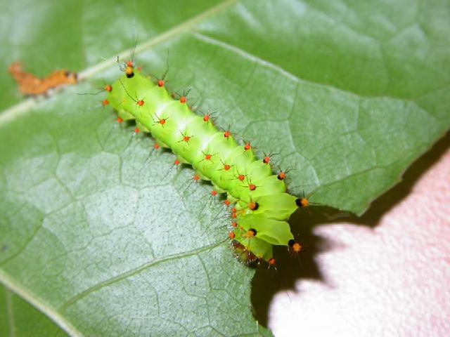 «ö¦¹¦b·sµøµ¡ÂsÄý¹Ï¤ù