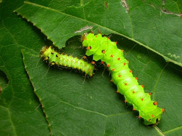 «ö¦¹¦b·sµøµ¡ÂsÄý¹Ï¤ù