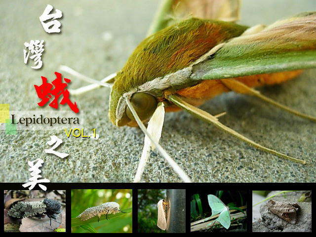 按此在新視窗瀏覽圖片