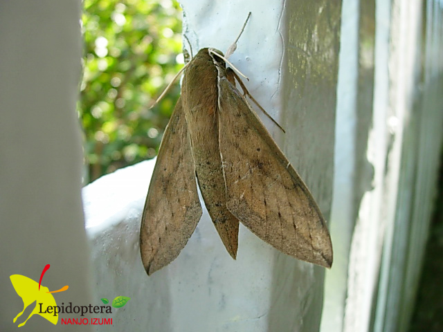 «ö¦¹¦b·sµøµ¡ÂsÄý¹Ï¤ù