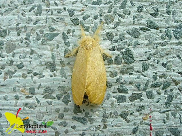 «ö¦¹¦b·sµøµ¡ÂsÄý¹Ï¤ù