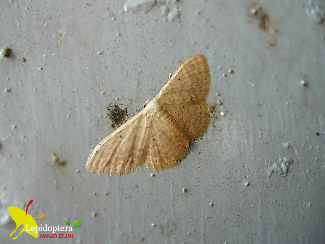 «ö¦¹¦b·sµøµ¡ÂsÄý¹Ï¤ù