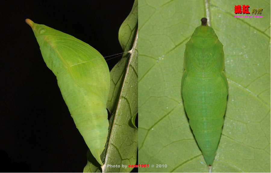 按此在新視窗瀏覽圖片