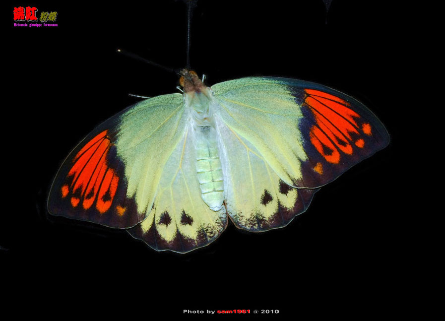 按此在新視窗瀏覽圖片