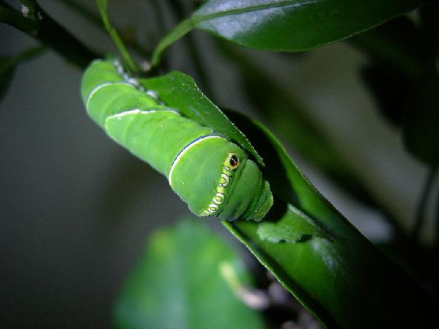 «ö¦¹¦b·sµøµ¡ÂsÄý¹Ï¤ù