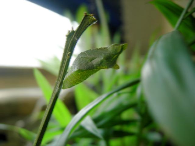 «ö¦¹¦b·sµøµ¡ÂsÄý¹Ï¤ù