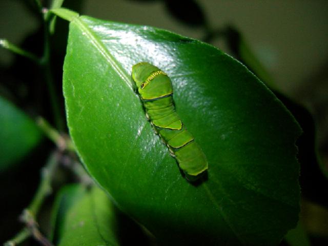 «ö¦¹¦b·sµøµ¡ÂsÄý¹Ï¤ù