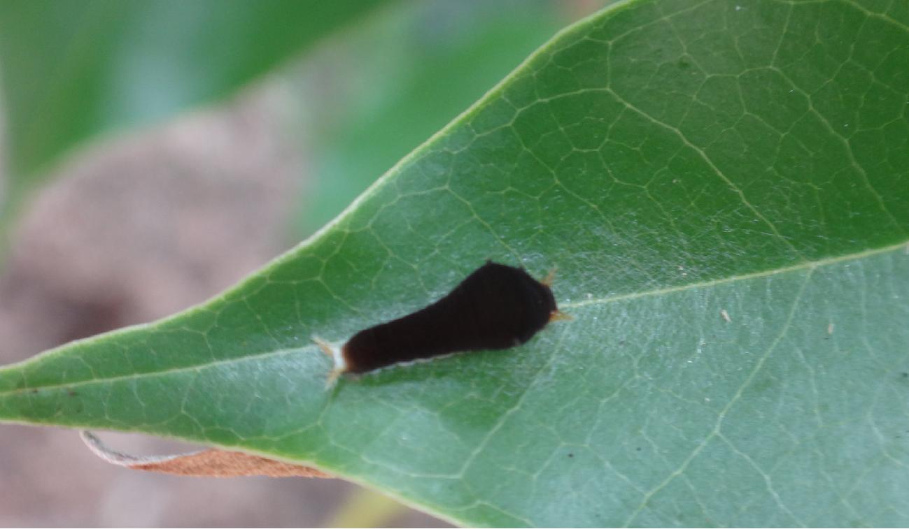 «ö¦¹¦b·sµøµ¡ÂsÄý¹Ï¤ù