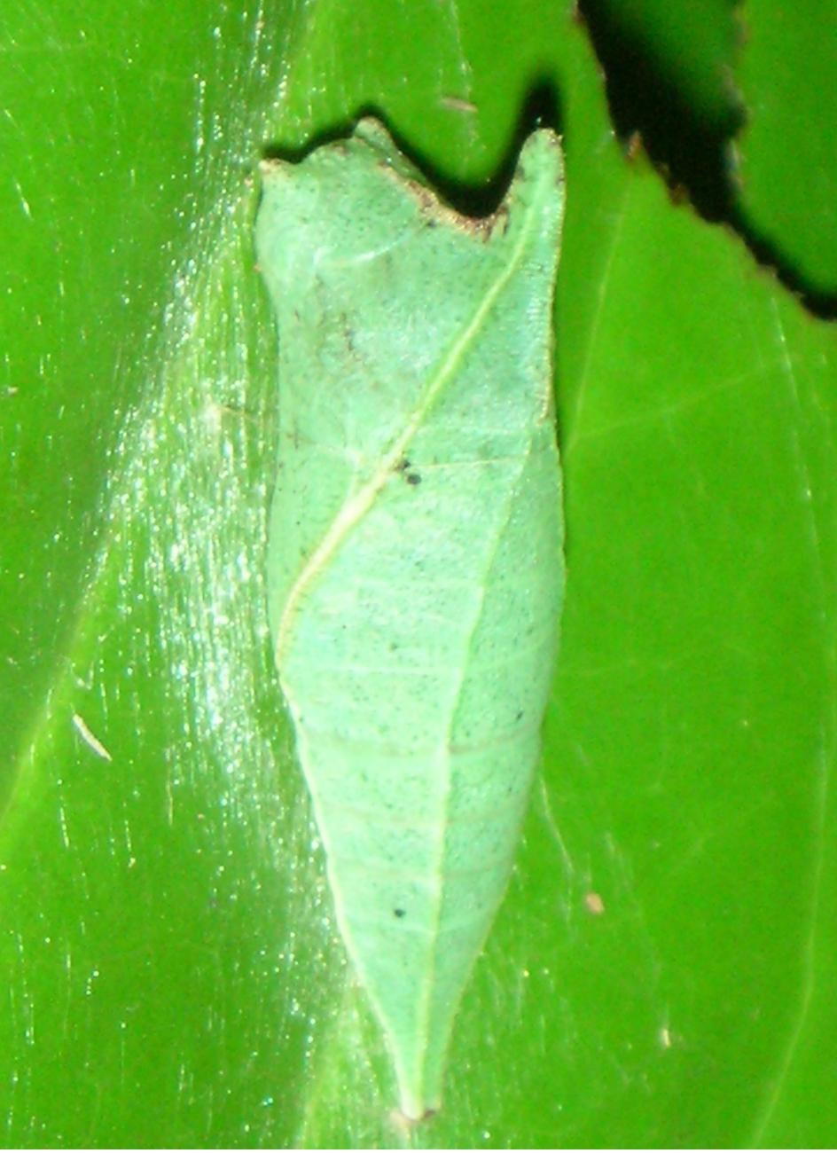 «ö¦¹¦b·sµøµ¡ÂsÄý¹Ï¤ù