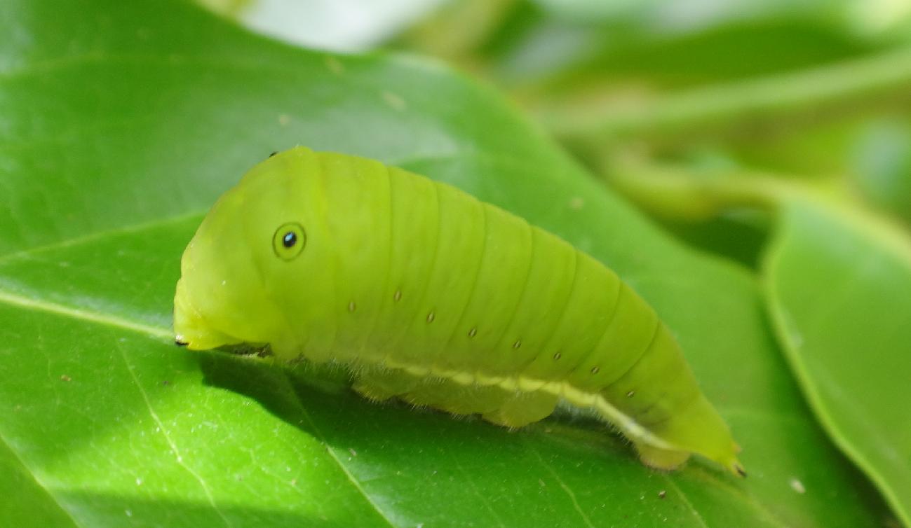 «ö¦¹¦b·sµøµ¡ÂsÄý¹Ï¤ù