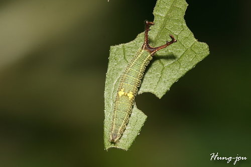 按此在新視窗瀏覽圖片