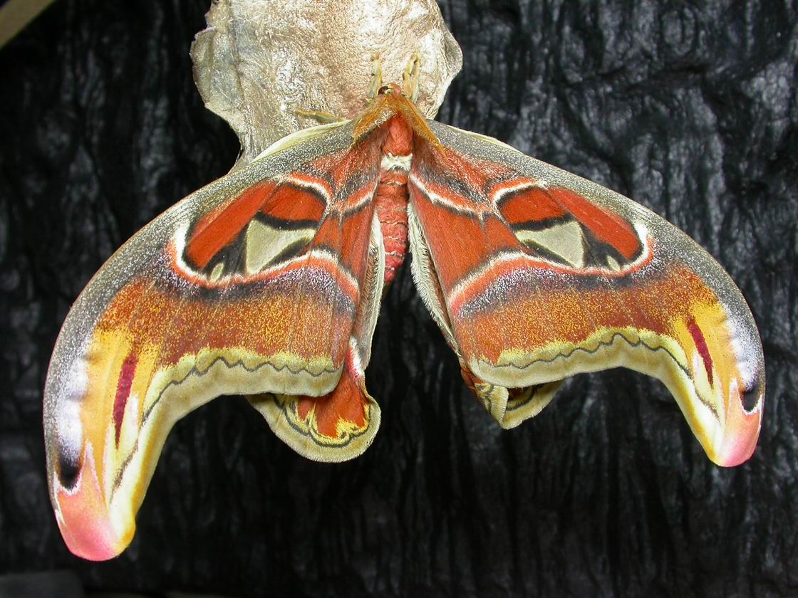 按此在新視窗瀏覽圖片