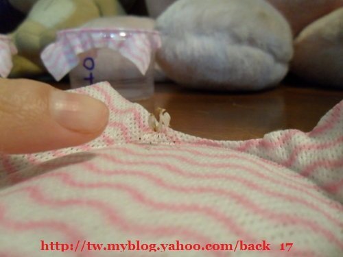 «ö¦¹¦b·sµøµ¡ÂsÄý¹Ï¤ù