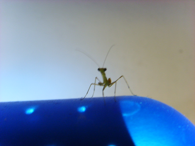 «ö¦¹¦b·sµøµ¡ÂsÄý¹Ï¤ù