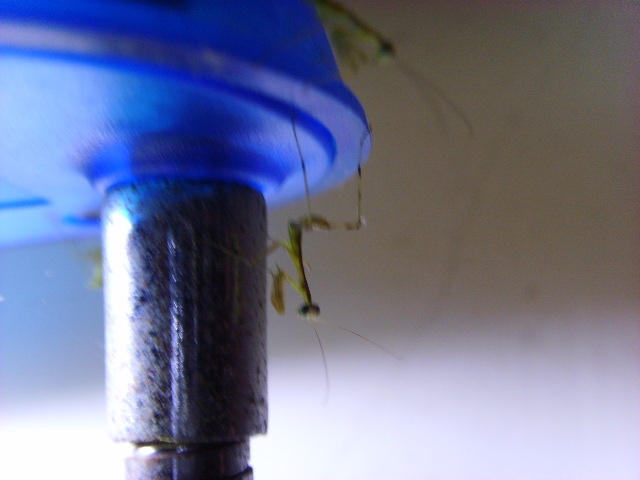 «ö¦¹¦b·sµøµ¡ÂsÄý¹Ï¤ù