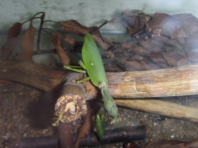 «ö¦¹¦b·sµøµ¡ÂsÄý¹Ï¤ù