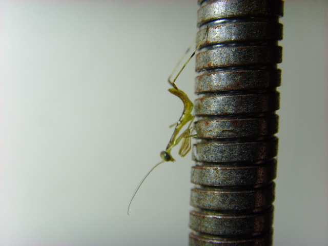 «ö¦¹¦b·sµøµ¡ÂsÄý¹Ï¤ù