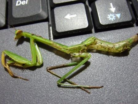 «ö¦¹¦b·sµøµ¡ÂsÄý¹Ï¤ù