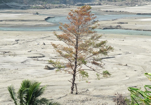 «ö¦¹¦b·sµøµ¡ÂsÄý¹Ï¤ù