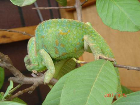 按此在新視窗瀏覽圖片