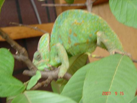 按此在新視窗瀏覽圖片