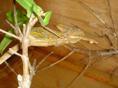 按此在新視窗瀏覽圖片