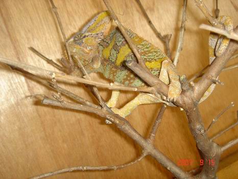 按此在新視窗瀏覽圖片