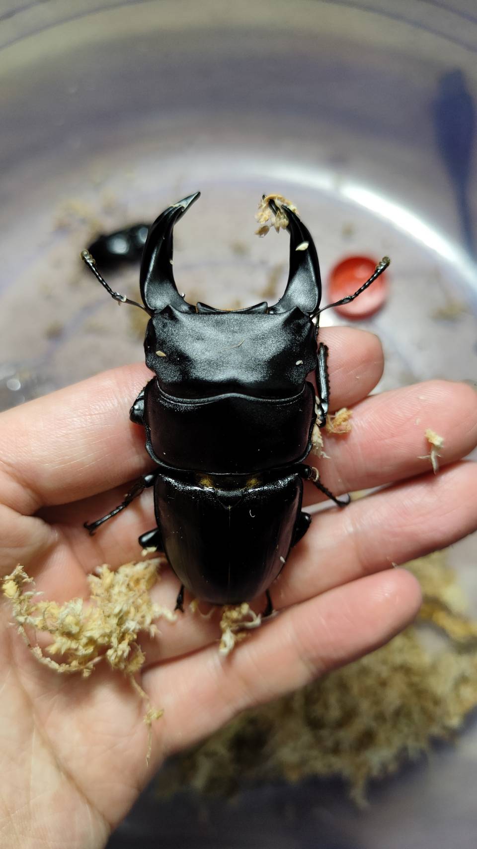 «ö¦¹¦b·sµøµ¡ÂsÄý¹Ï¤ù