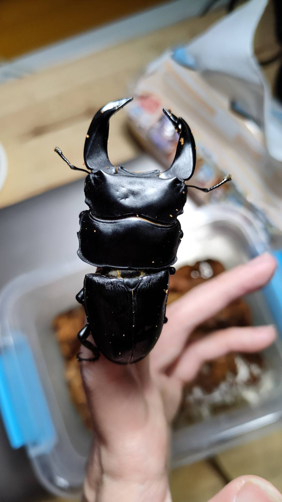 «ö¦¹¦b·sµøµ¡ÂsÄý¹Ï¤ù