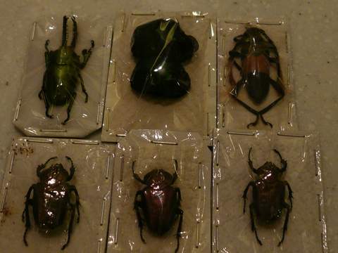 按此在新視窗瀏覽圖片