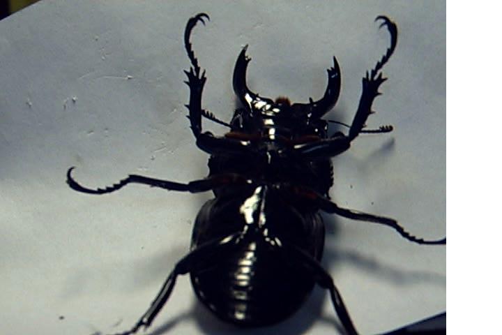 按此在新視窗瀏覽圖片