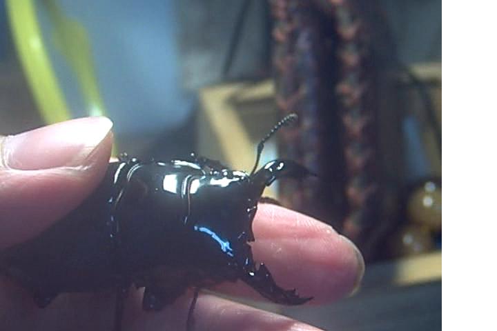 按此在新視窗瀏覽圖片