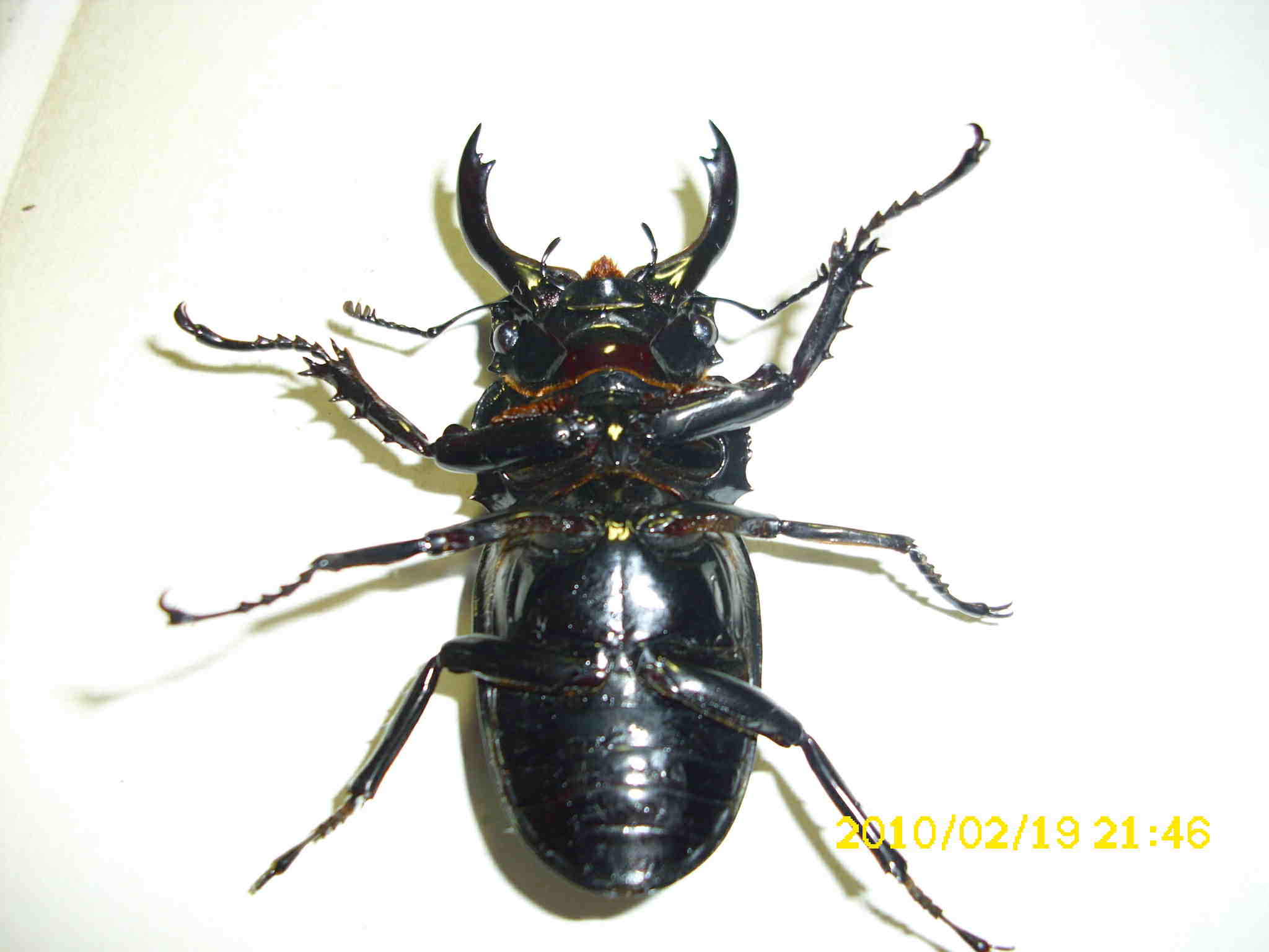 按此在新視窗瀏覽圖片