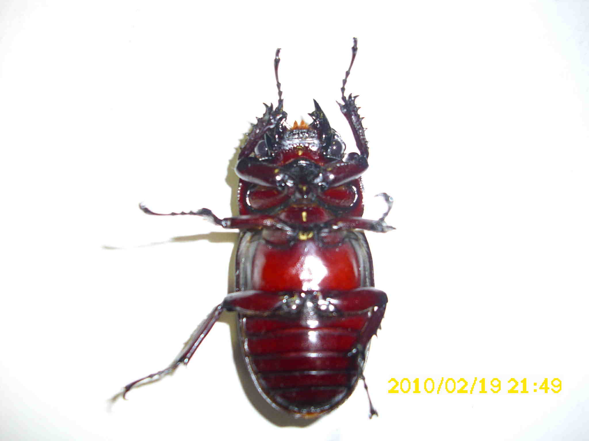 按此在新視窗瀏覽圖片