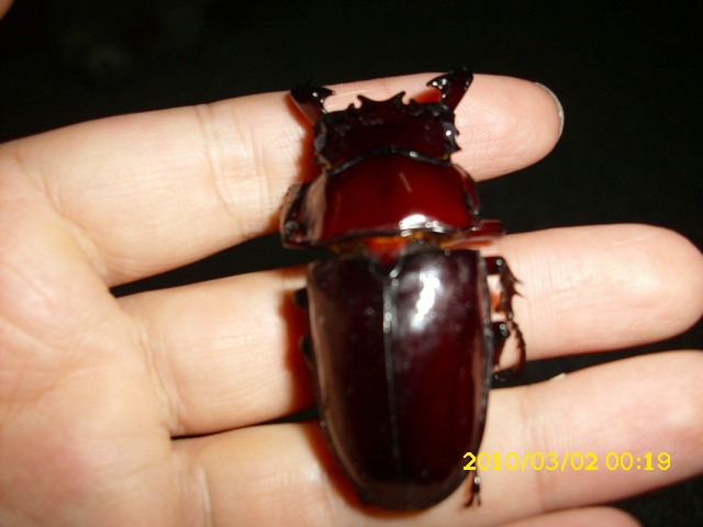 按此在新視窗瀏覽圖片