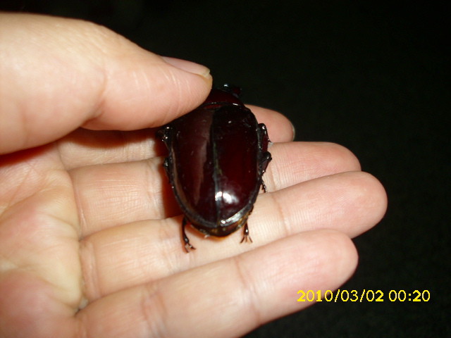 按此在新視窗瀏覽圖片